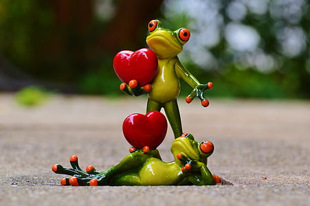 two frog with heart