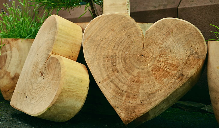 beige wooden heart-shaped tree stumps