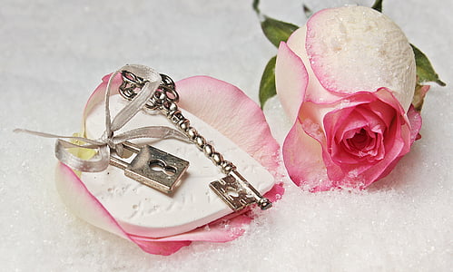 pink rose petal with padlock and key beside pink rose flower