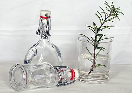 green leaf plant on clear drinking glass beside two clear glass bottle
