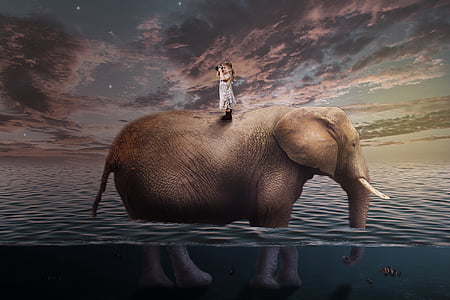 girl in white dress on gray elephant illustration