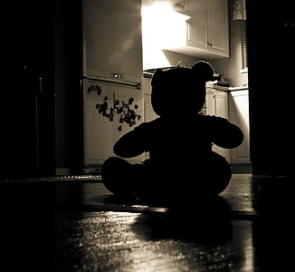 silhouette of bear plush toy on floor