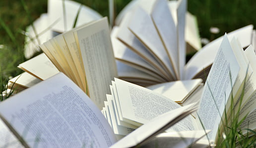 opened books on grass