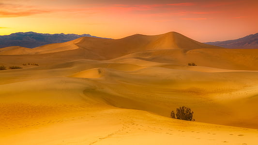 desert during sunset