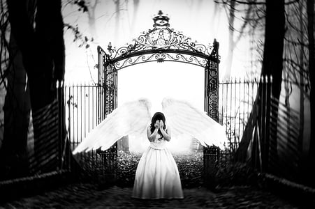 grayscale photo of woman wearing dress with wings standing in front of floral gate