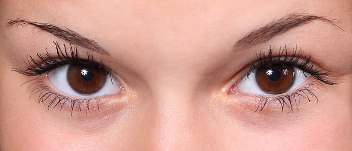 human brown eyes