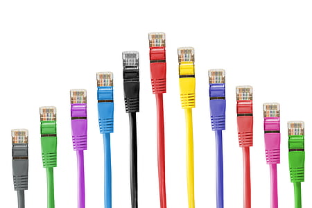 assorted-colored LAN cables