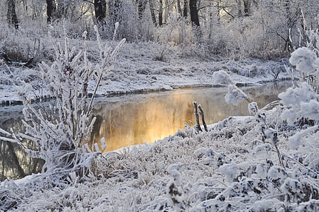 grass covered with snow near river