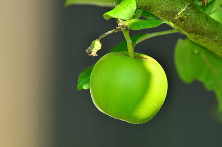 tilt shift focus photography of green apple