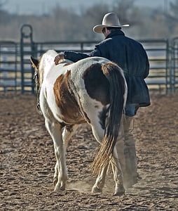 man wearing black jacket and white cowboy hat holding white and brown horse