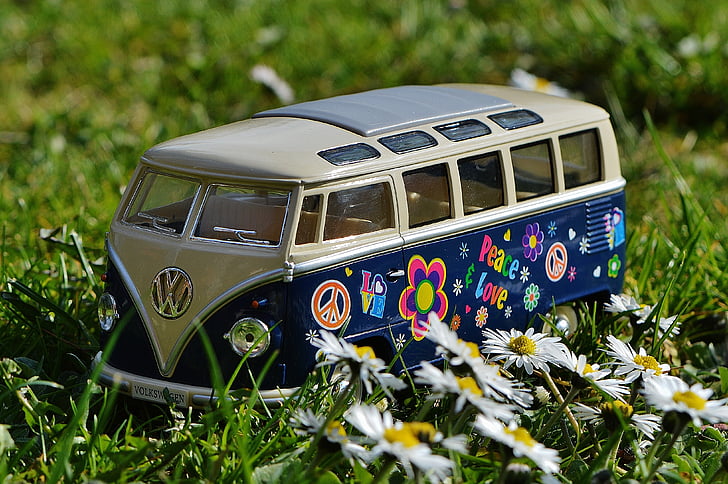 blue and white Volkswagen Transporter scale model near white petaled flowers
