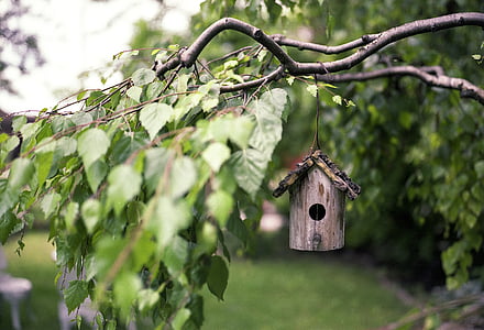 brown wooden bird house hanging on brown tree branch