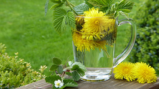 yellow flowers in clear glass mug
