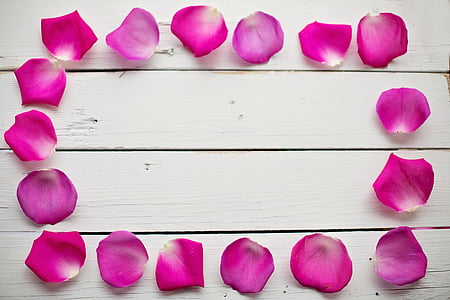 petals of roses on white wooden board