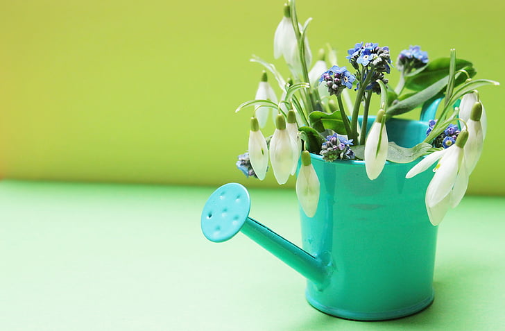 teal watering can with white flowers