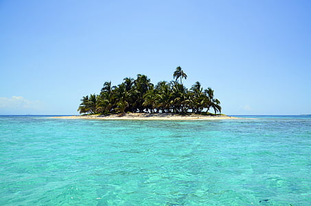 photography of coconut island
