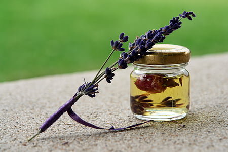 purple lavender flower and clear glass jar