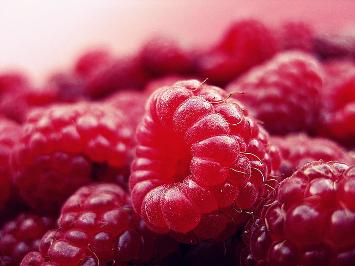macro shot photography of red raspberry