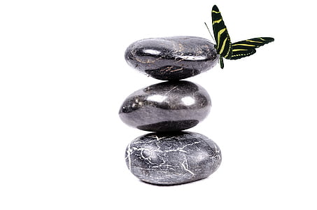 three gray stones and yellow butterfly on white background photo