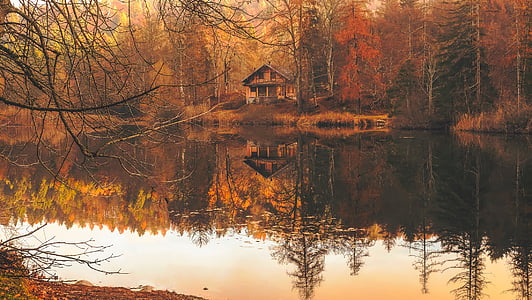 brown wooden cabin along side body of water in the middle of woods