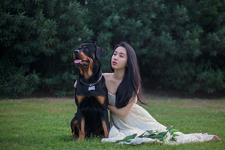 woman in white dress beside large-sized short-coated tan and black dog on green grass field during daytime