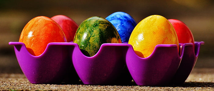six assorted-color eggs on purple plastic tray
