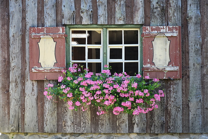 photo of brown and white wooden window with pink petaled flowers