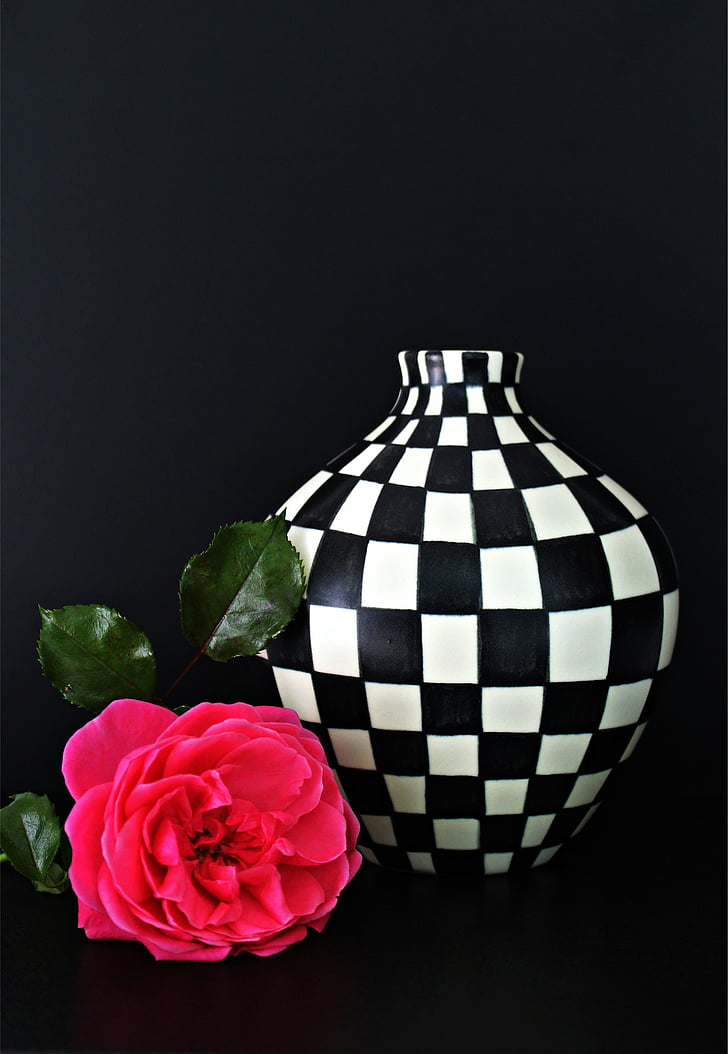red rose near white and black checked ceramic vase