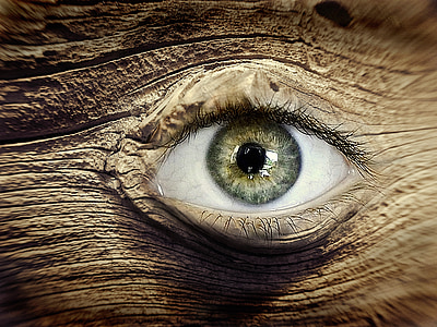close up photo of eye