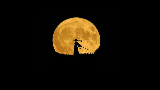 silhouette of person holding sword during full moon