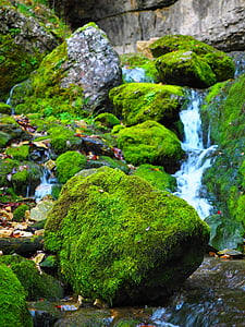 stones with green moss and water during daytime
