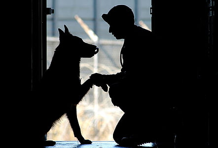 silhouette photography of man and dog sitting near door