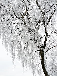 brown withered tree covered with snow