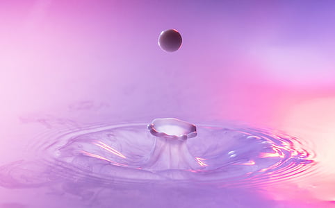 photography of droplet