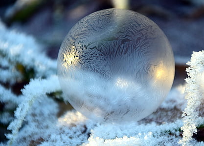 focus photography of snowball