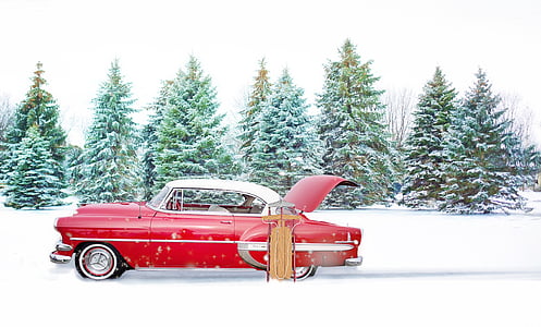classic red coupe near green pine trees during snow weather