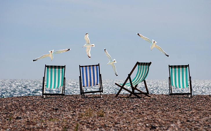 four green and blue folding chairs on seashore