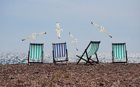 four green and blue folding chairs on seashore