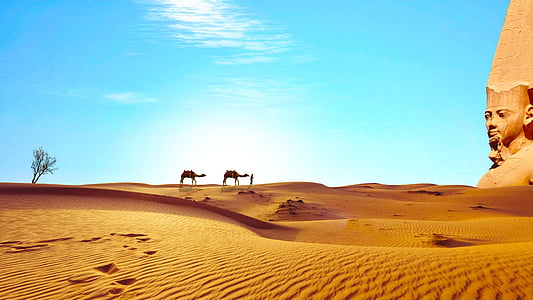 two camels in desert and a brown structure
