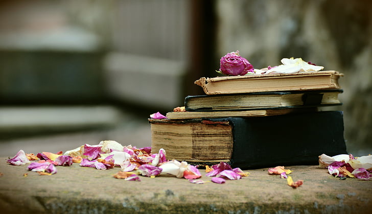 pink petals scattered over pile of 5 books