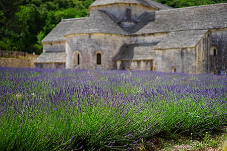 Lavender farm beside gray castle photo