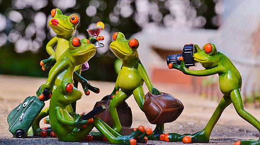 shallow focus photography of four green frogs making a pose figurine