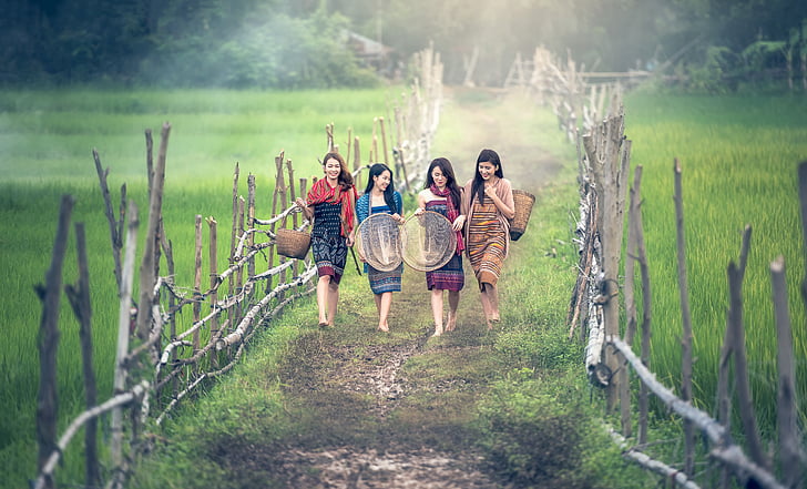 four women walking through rice field carrying brown wicker baskets