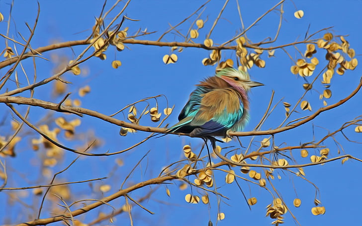 green, blue, and teal bird on tree trunk