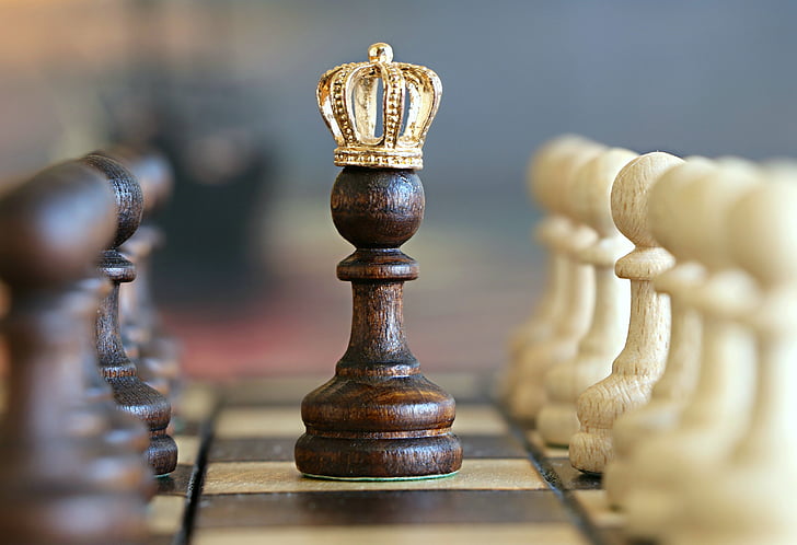 shallow photography of chess pawn with crown