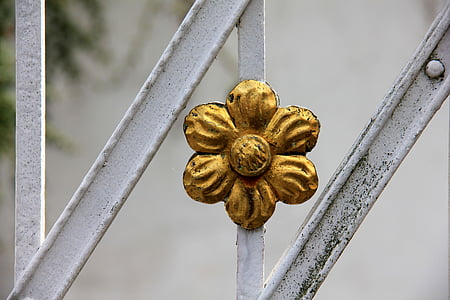 macro photography of yellow flower ornament on white steel bar