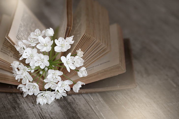 white flower on bible book