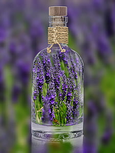 clear glass cork bottle filled with lavender