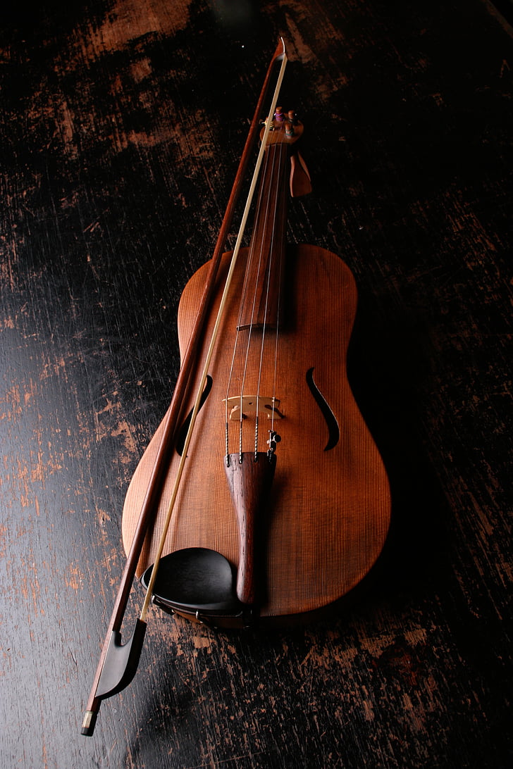 brown wooden violin