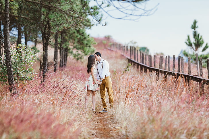 man and woman in the middle of pink grass land